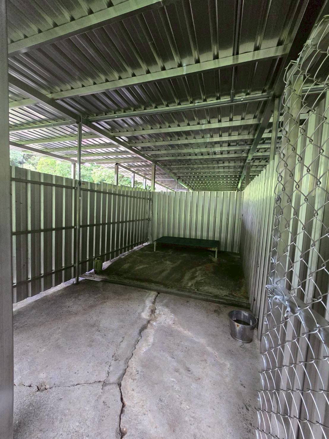 流浪動物之家基金會 保育場修繕計畫進行中